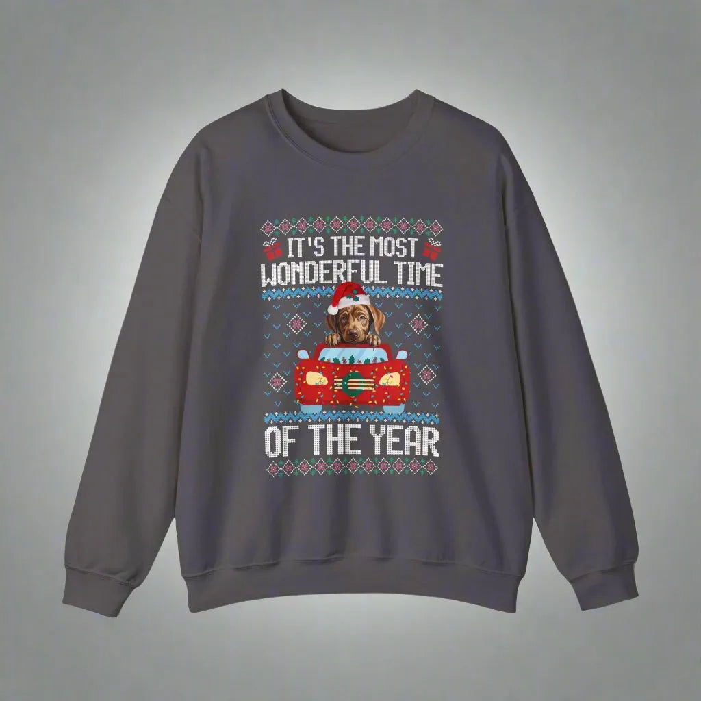 Vizsla Dog It's The Most Wonderful Time Of The Year Unisex  Sweater