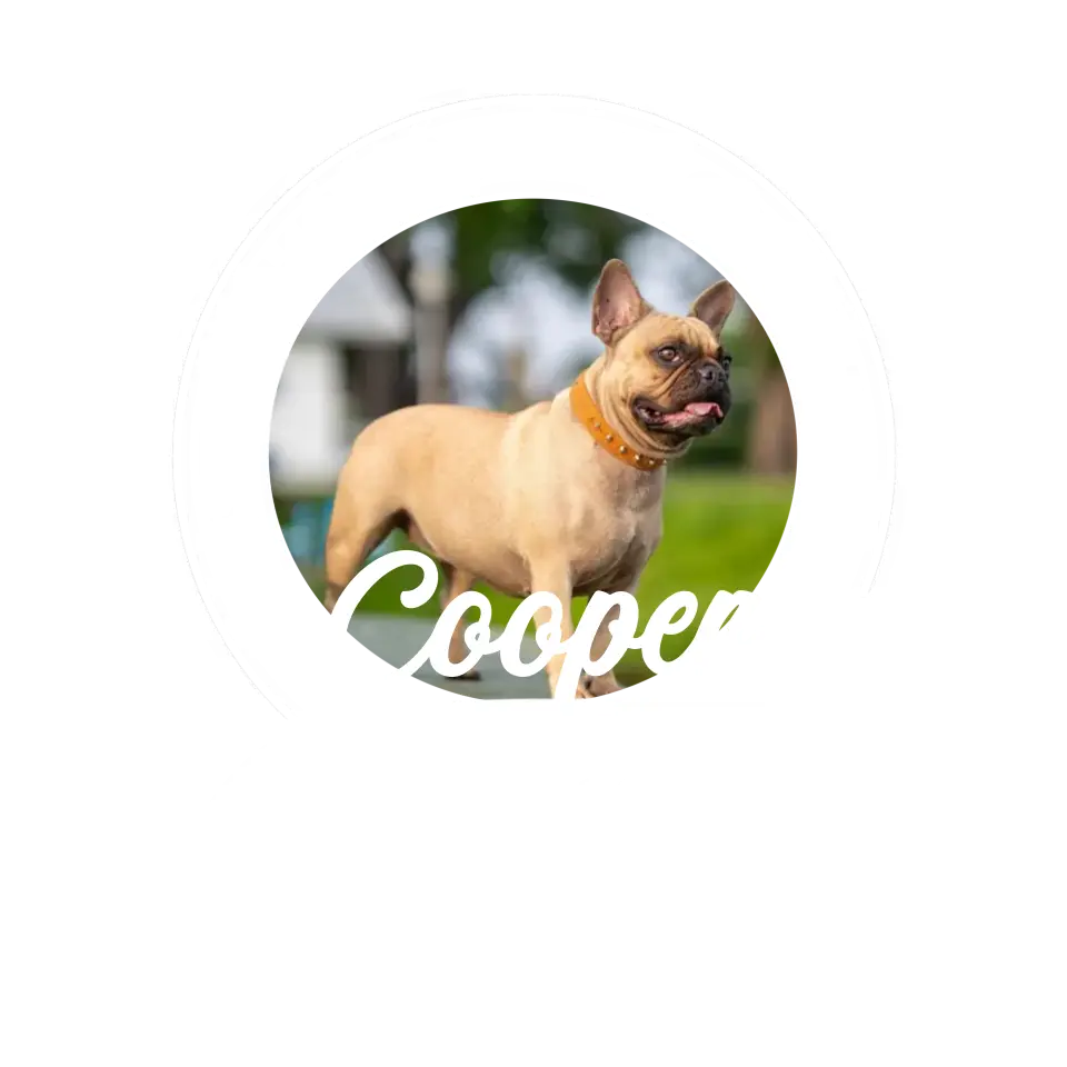 This Human Belongs To Photo - Custom Photo - Personalized Gifts For Dog Lovers - Unisex T-shirt