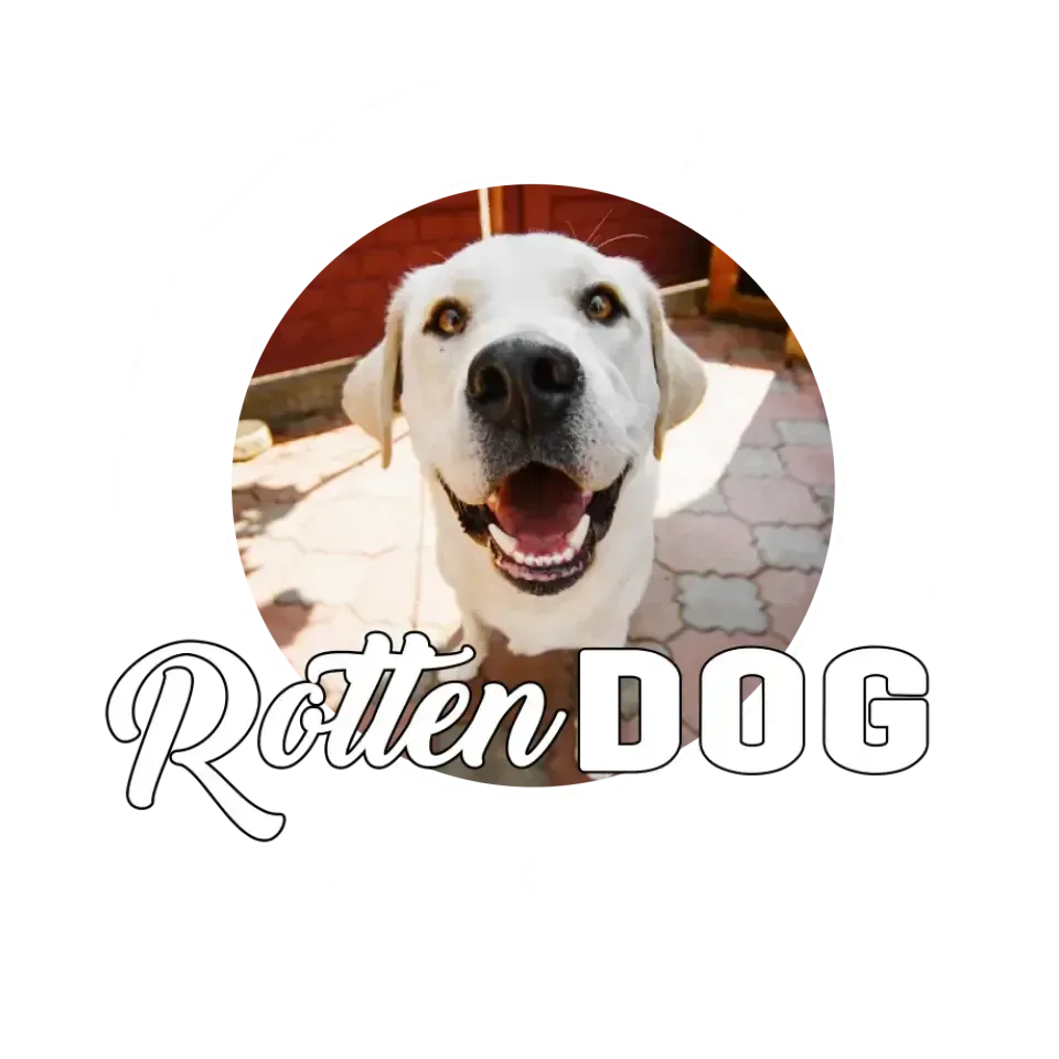 Spoiled Rotten - Custom Photo - Personalized Gifts for Dog Lovers - Unisex Sweater