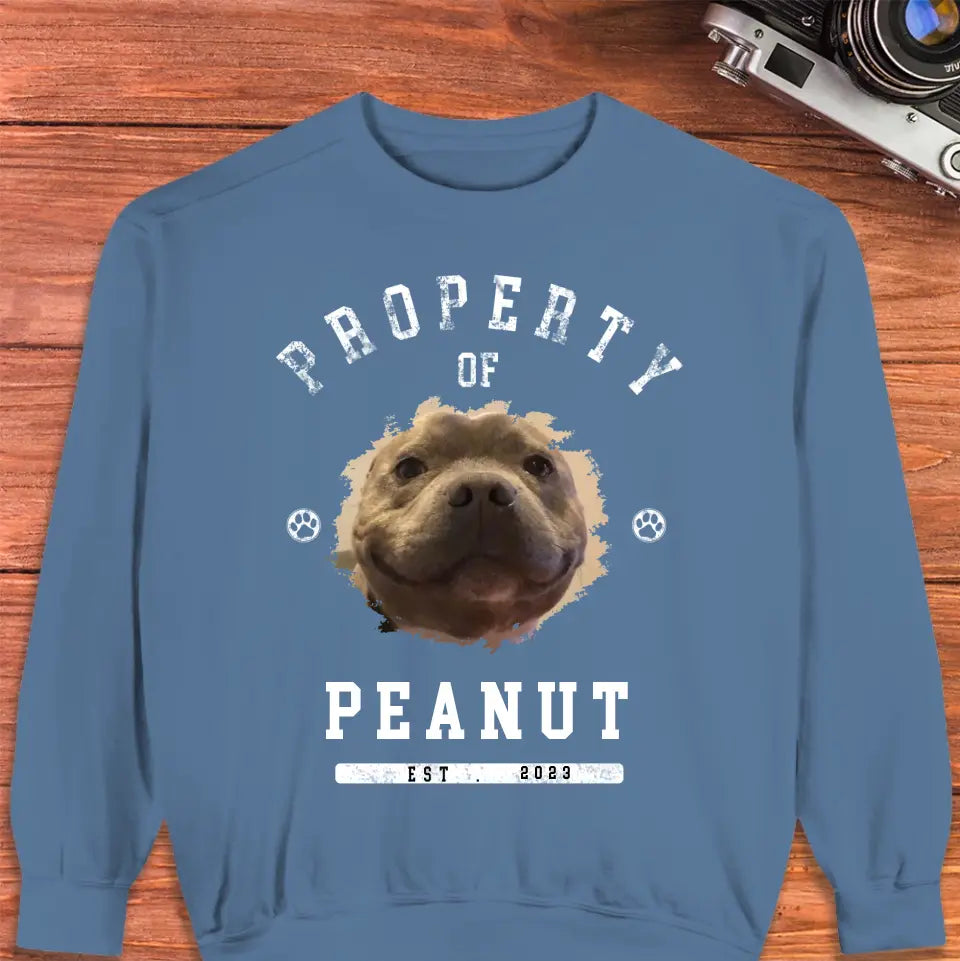 Dog Property - Custom Photo - Personalized Gift For Dog Lovers - Unisex Hoodie