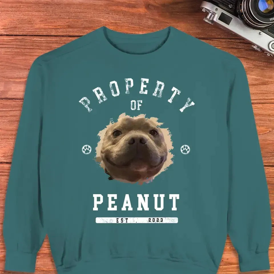 Dog Property - Custom Photo - Personalized Gifts for Dog Lovers - Unisex Sweater