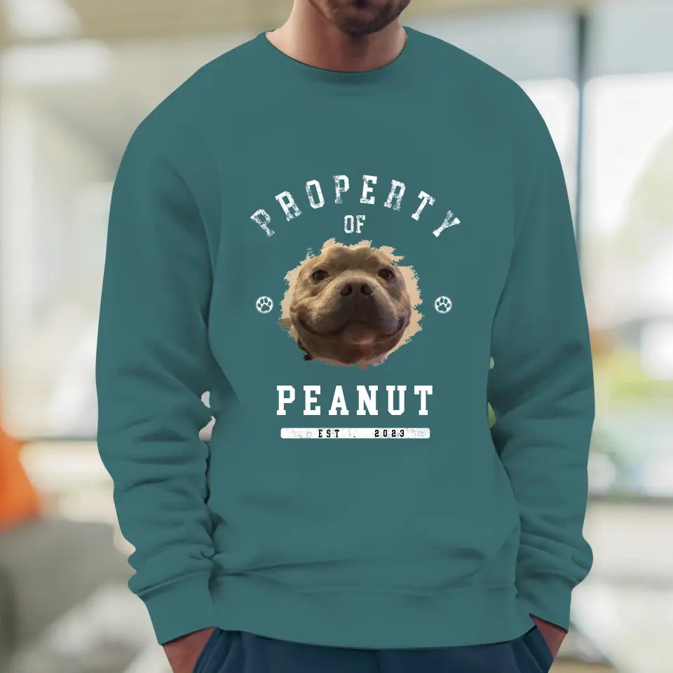 Dog Property - Custom Photo - Personalized Gift For Dog Lovers - Unisex Hoodie