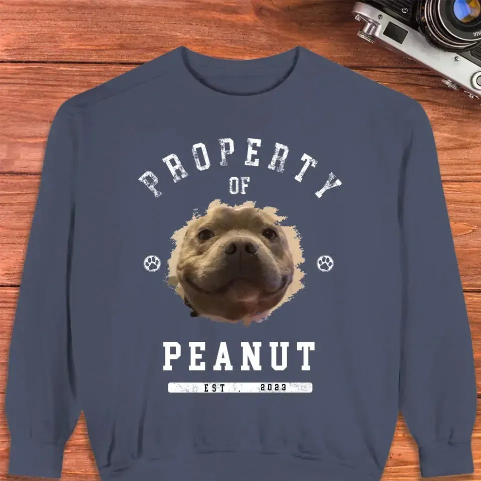 Dog Property - Custom Photo - Personalized Gifts for Dog Lovers - Unisex Sweater