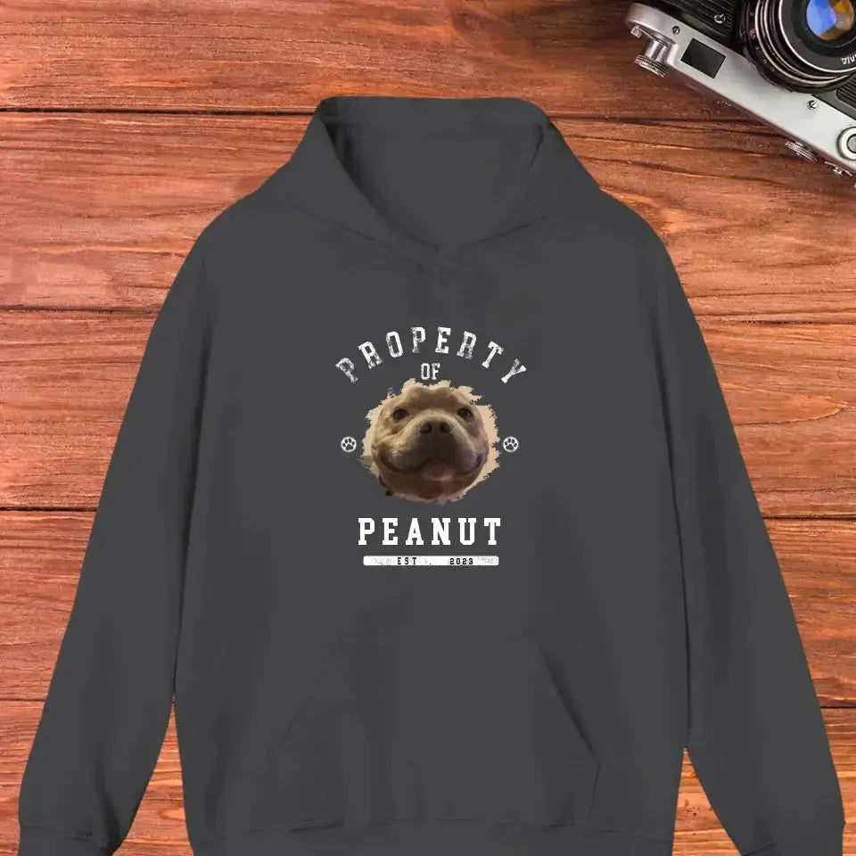 Dog Property - Custom Photo - Personalized Gifts for Dog Lovers - Unisex Sweater