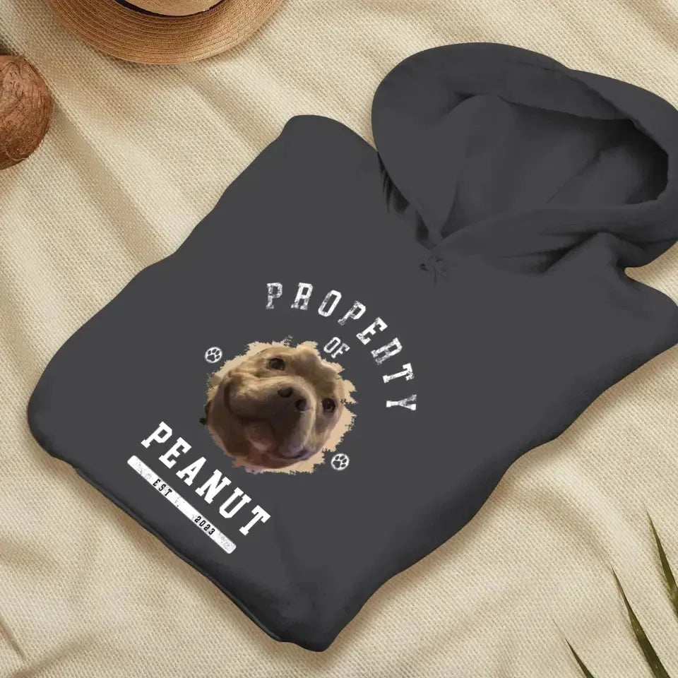 Dog Property - Custom Photo - Personalized Gifts for Dog Lovers - Unisex Sweater