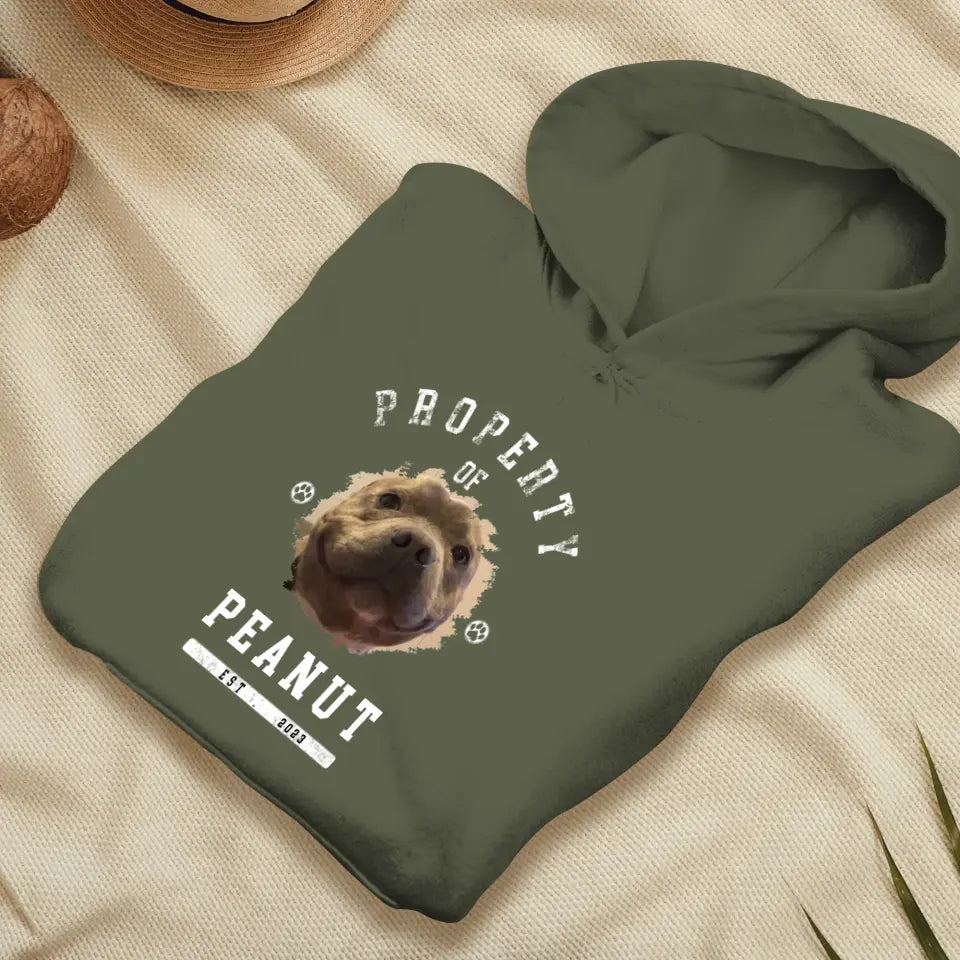 Dog Property - Custom Photo - Personalized Gifts for Dog Lovers - Unisex Sweater