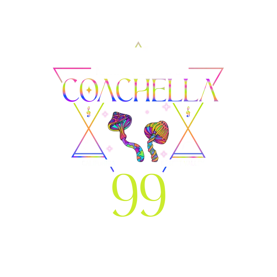 Music Festival Coachella - Personalized Gifts For Her - Unisex Hoodie